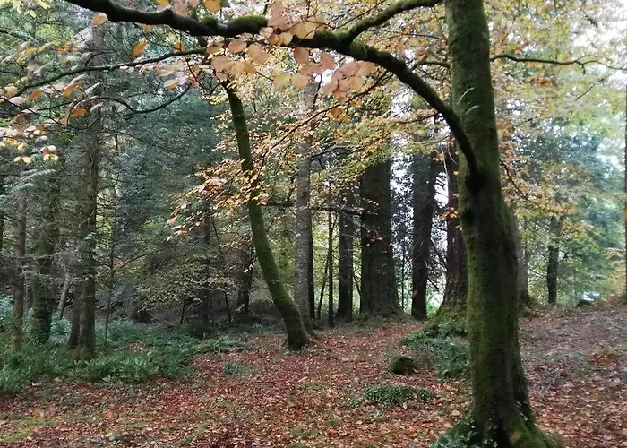 An Sibin B&B * Kenmare